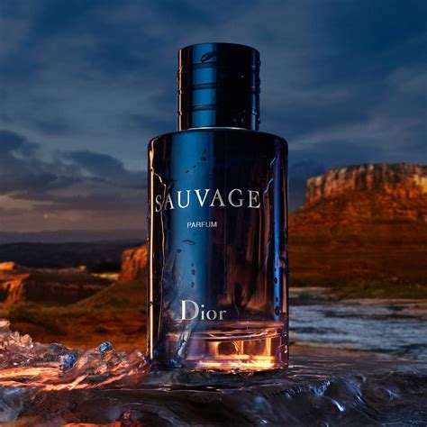 parfem dior sauvage|Dior Sauvage parfem cena.